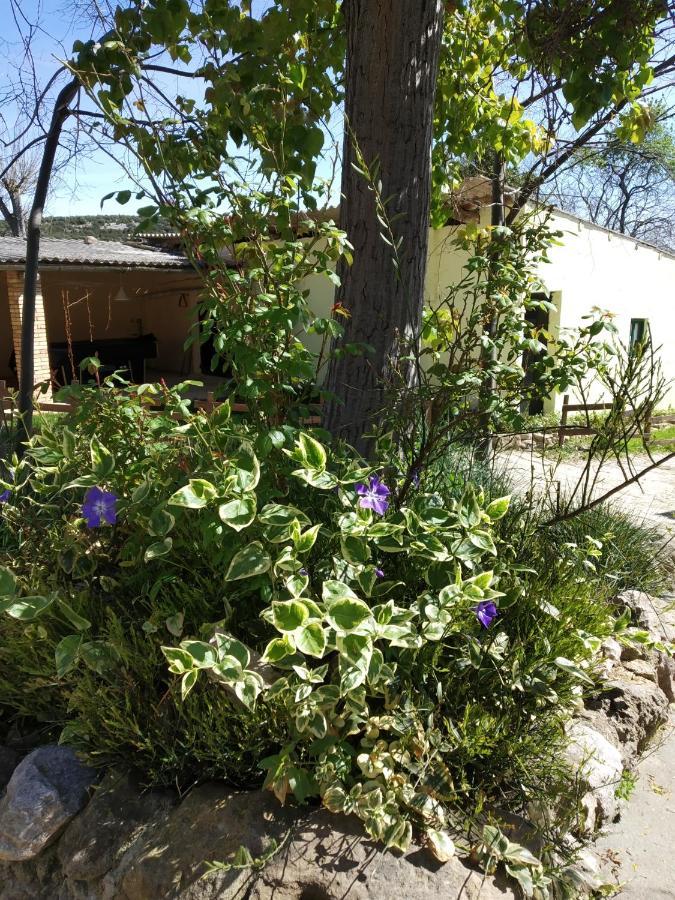Camping Yaso-Guara Екстер'єр фото